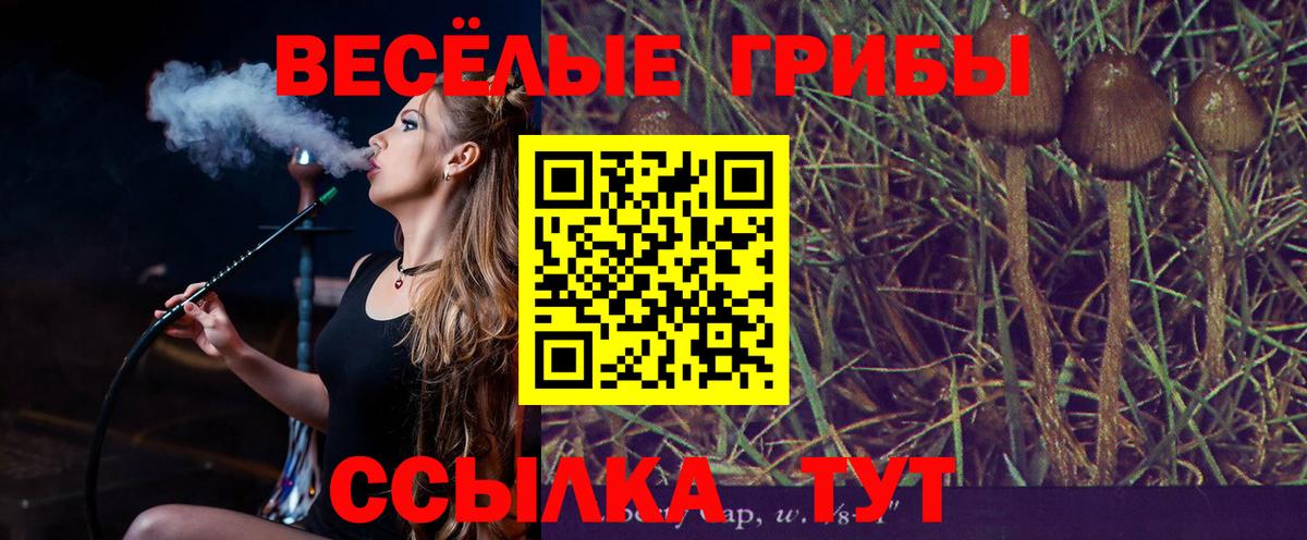 Псилоцибиновые грибы Magic Shrooms Качканар