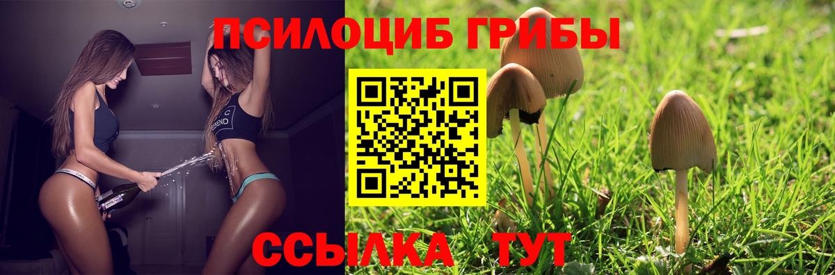 Качканар  закладка  Вход с VPN  Псилоцибиновые грибы мицелий 